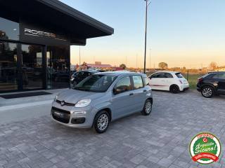 FIAT Panda usata, con Airbag