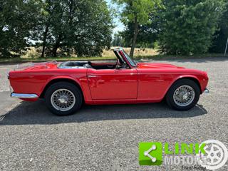 TRIUMPH TR4 usata 5