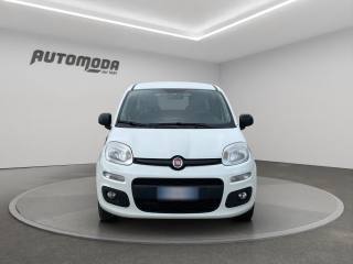 FIAT Panda usata, con Airbag