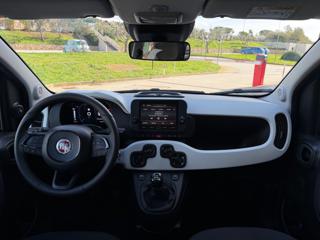 FIAT Panda Cross usata, con ESP