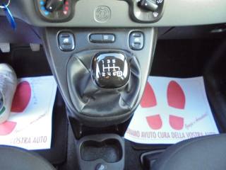 FIAT Panda usata 29