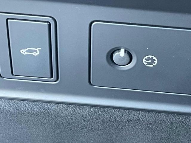 LAND ROVER Range Rover Evoque usata 35