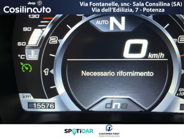 ALFA ROMEO 4C usata, con Servosterzo