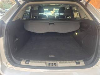 FORD Edge usata, con Fendinebbia