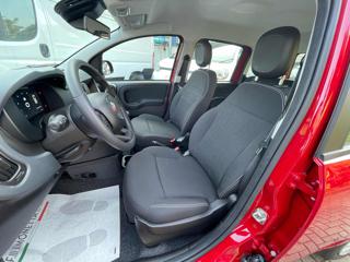 FIAT Panda usata, con Controllo trazione