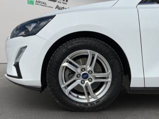 FORD Focus usata, con Bracciolo
