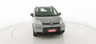 FIAT Panda usata 25