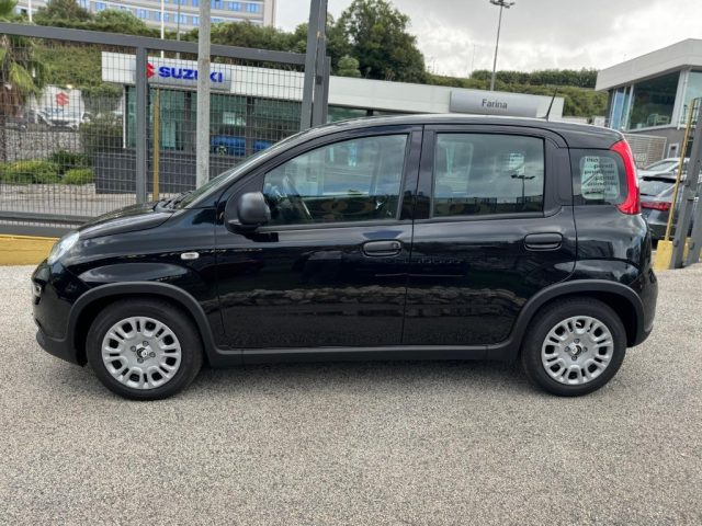 FIAT Panda usata, con Fendinebbia