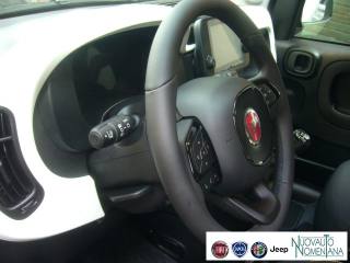FIAT Panda Cross usata, con Vetri oscurati