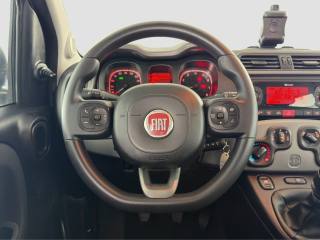 FIAT Panda usata 11