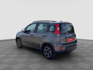 FIAT Panda usata 2