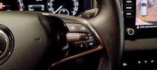 SKODA Karoq usata, con Sensore di luce
