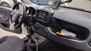 FIAT Panda usata 25