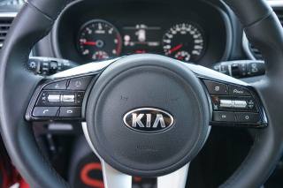 KIA Sportage usata 30