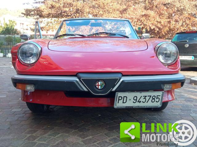 ALFA ROMEO Spider usata 13