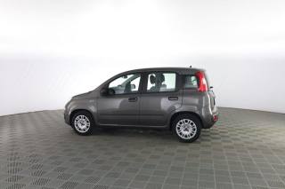 FIAT Panda usata 5