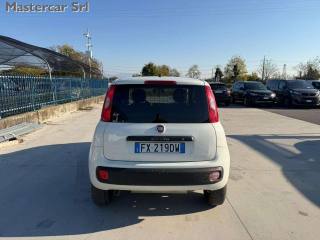 FIAT Panda usata, con Alzacristalli elettrici