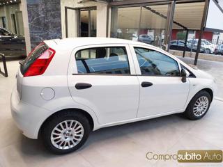 FIAT Punto usata, con Controllo trazione