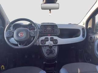 FIAT Panda usata 12