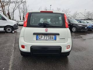 FIAT Panda usata, con Antifurto