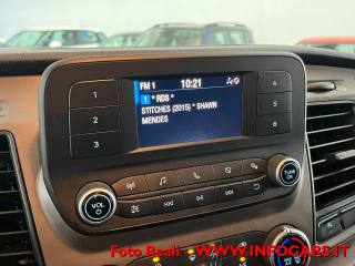 FORD Tourneo Custom usata, con Volante multifunzione