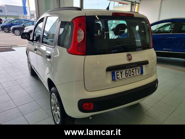 FIAT Panda usata, con Climatizzatore
