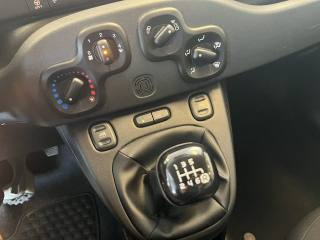 FIAT Panda usata, con Cronologia tagliandi