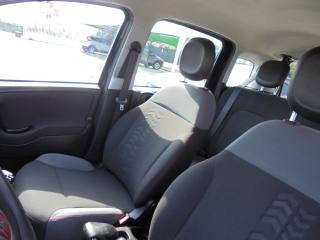 FIAT Panda usata 17