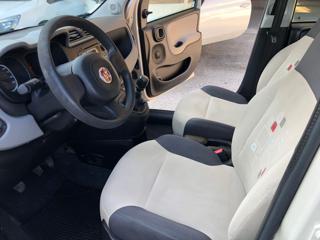FIAT Panda usata 8