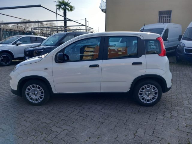 FIAT Panda usata, con Antifurto