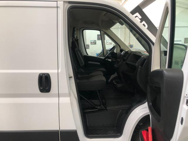FIAT usata 7