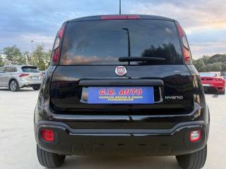 FIAT Panda Cross usata, con Climatizzatore