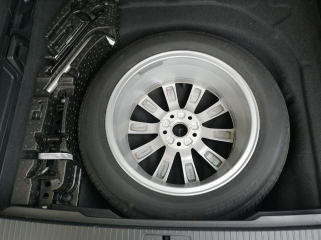 VOLKSWAGEN Passat Variant usata, con Volante in pelle