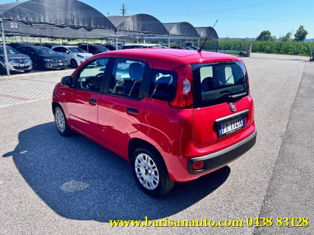 FIAT Panda usata, con Alzacristalli elettrici