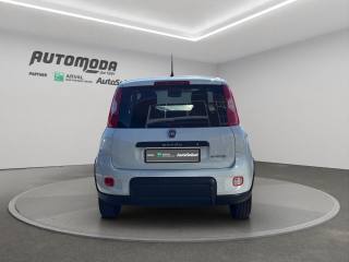 FIAT Panda usata, con Climatizzatore