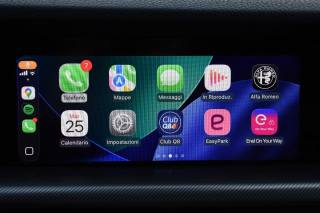 ALFA ROMEO Stelvio usata, con Controllo trazione