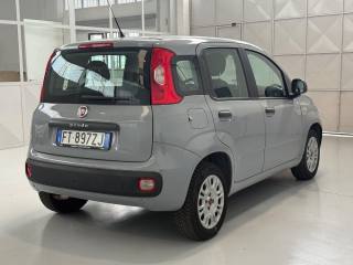 FIAT Panda usata, con Chiusura centralizzata