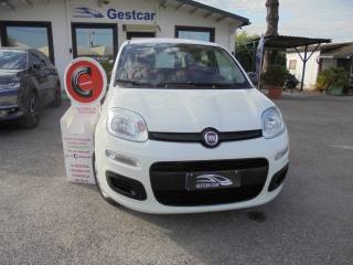 FIAT Panda usata, con Airbag Passeggero
