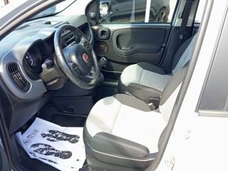 FIAT Panda usata, con Servosterzo