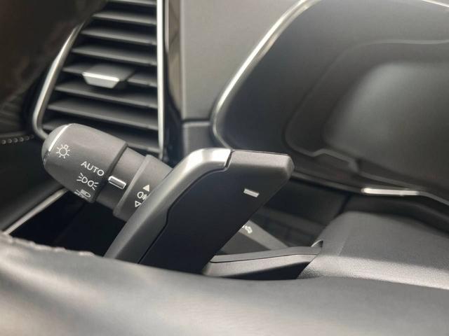 DS AUTOMOBILES DS 7 usata, con Filtro antiparticolato