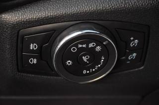 FORD EcoSport usata, con Servosterzo