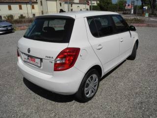 SKODA Fabia usata 66