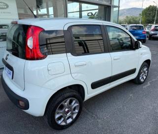 FIAT Panda usata, con Cerchi in lega