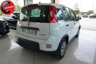 FIAT Panda usata, con Airbag Passeggero