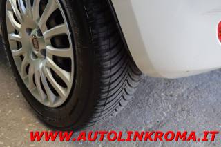 FIAT Punto usata 20