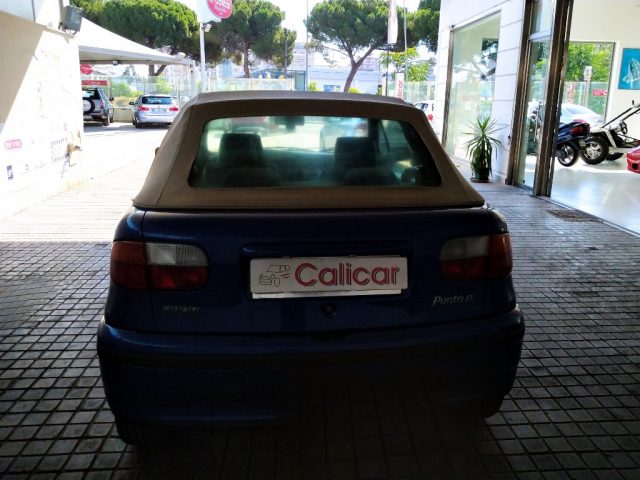 FIAT Punto usata 12
