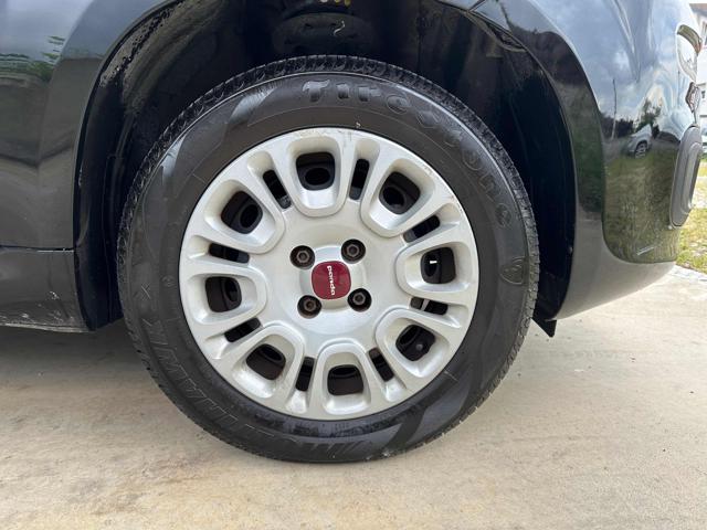 FIAT Panda usata 31