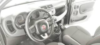 FIAT Panda usata 66
