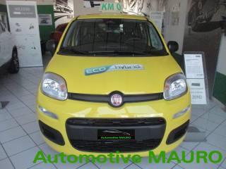 FIAT Pandina usata, con Airbag Passeggero