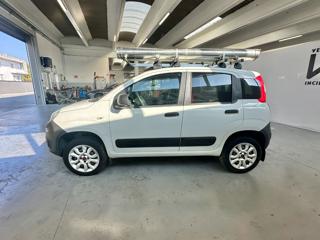 FIAT Panda usata, con Airbag Passeggero